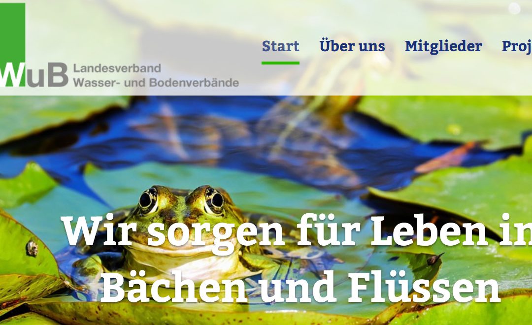 Homepage auf dem Weg!