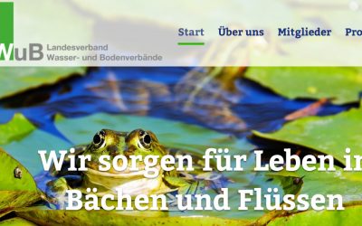 Homepage auf dem Weg!