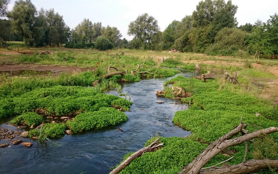 Wasser‐ und Bodenverband Warendorf‐Nord