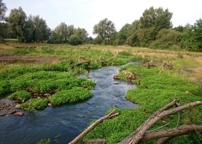 Wasser‐ und Bodenverband Warendorf‐Nord