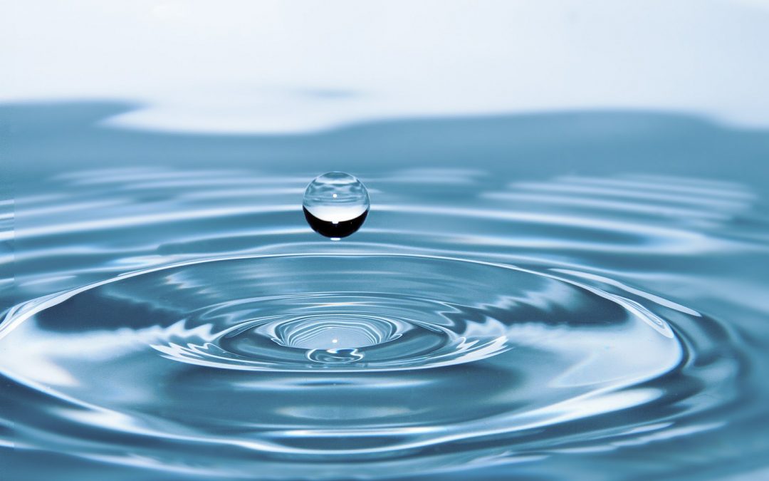 Wasser‐ und Bodenverband Vechte