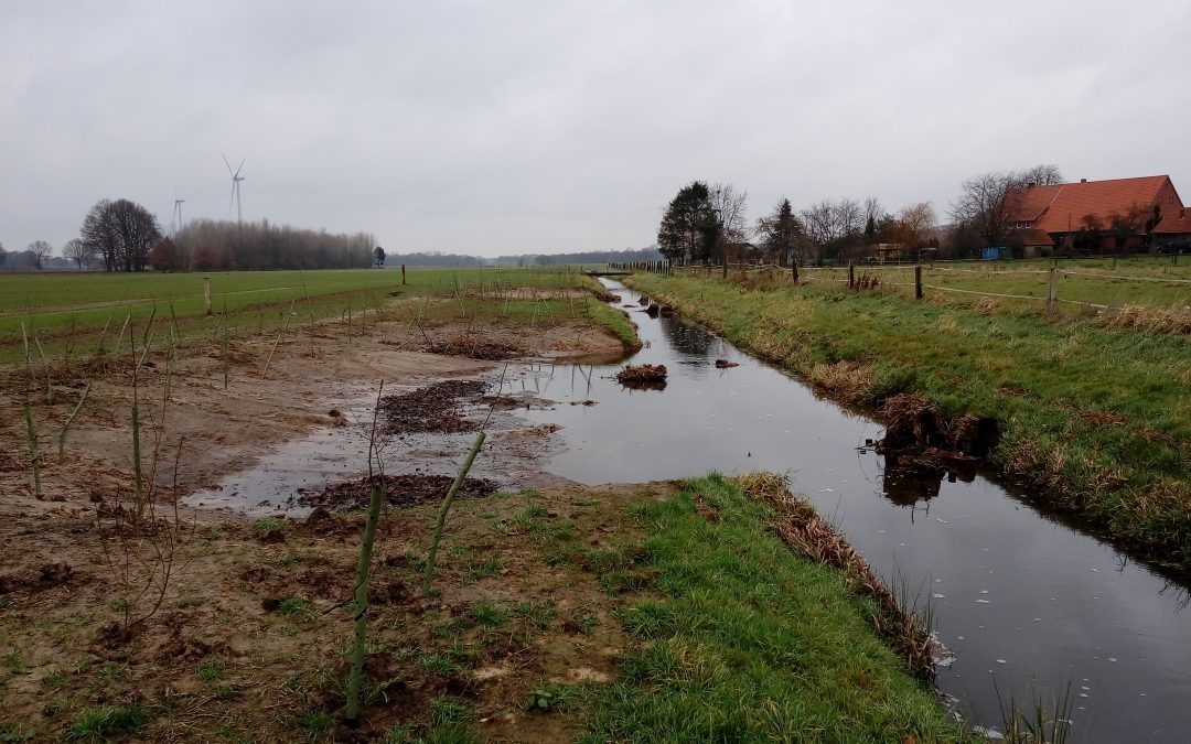 Renaturierungen an der Mettinger Aa