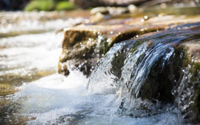 1. WasserInfo erschienen