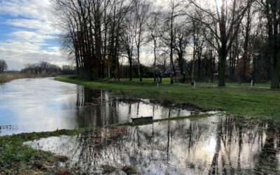 WasserInfo Dezember 2024