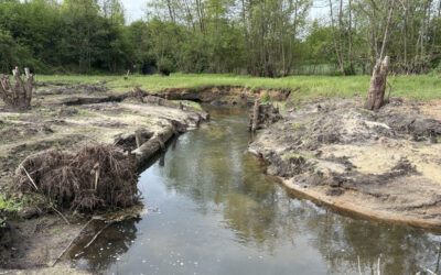 WasserInfo Juli 2025