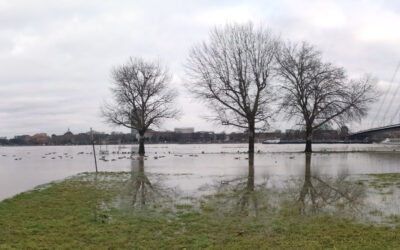 WasserInfo März 2026